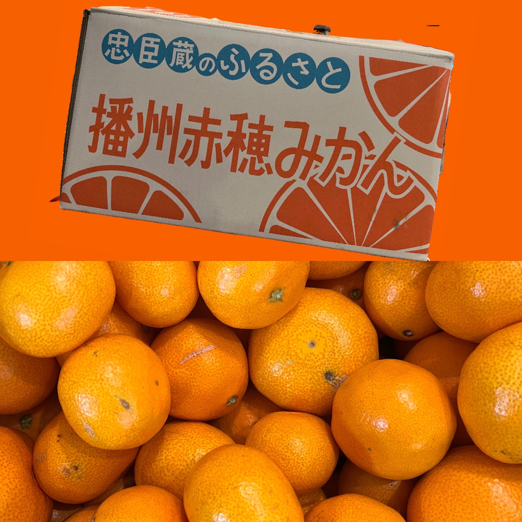 嬉しいお届け物