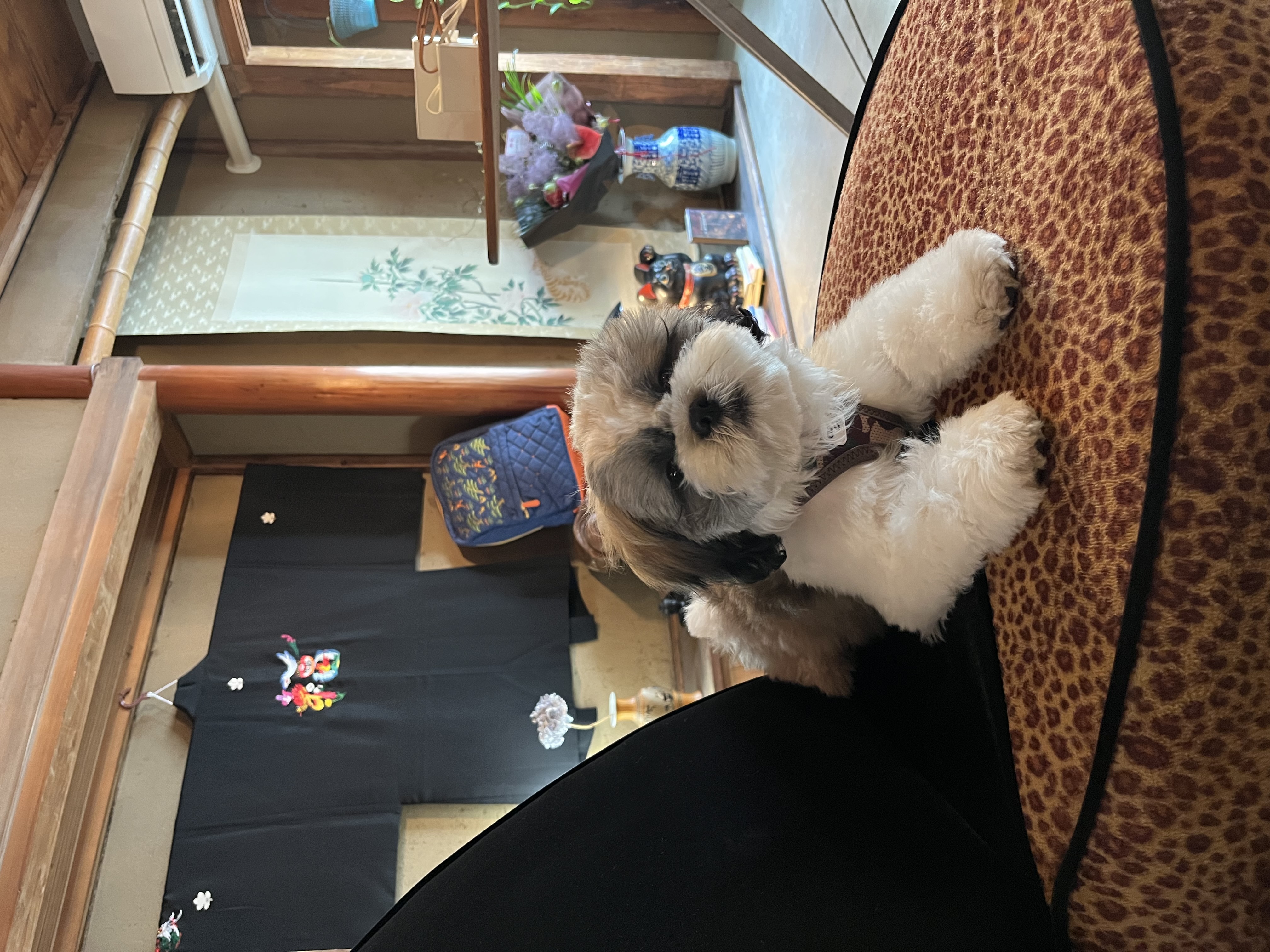 2日目