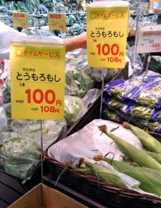 本日は定休日