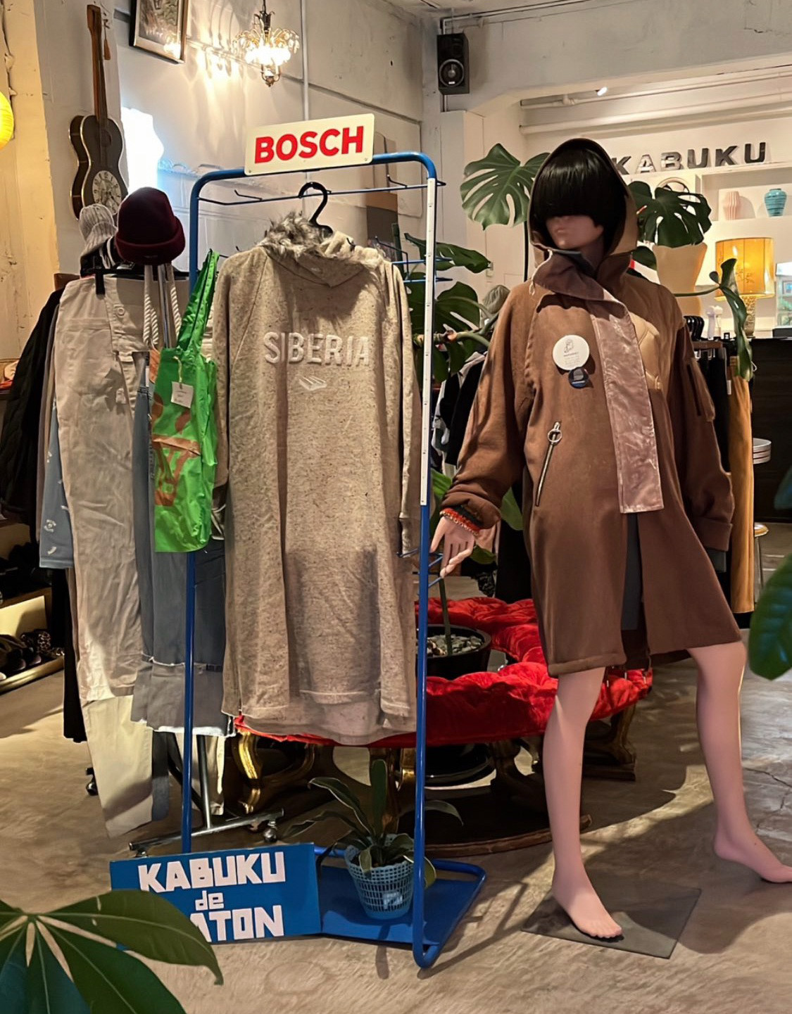 今日から!