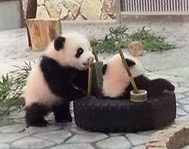 本日は定休日