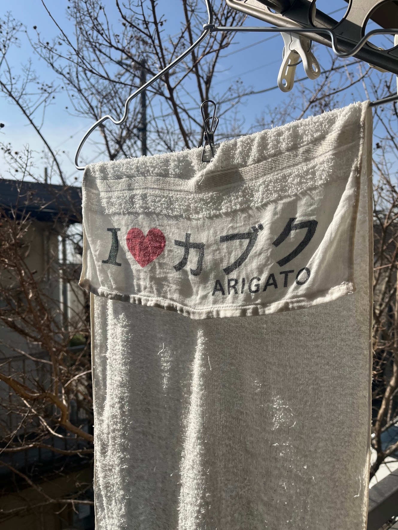 本日の一枚