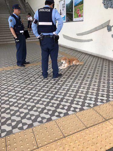 本日は定休日