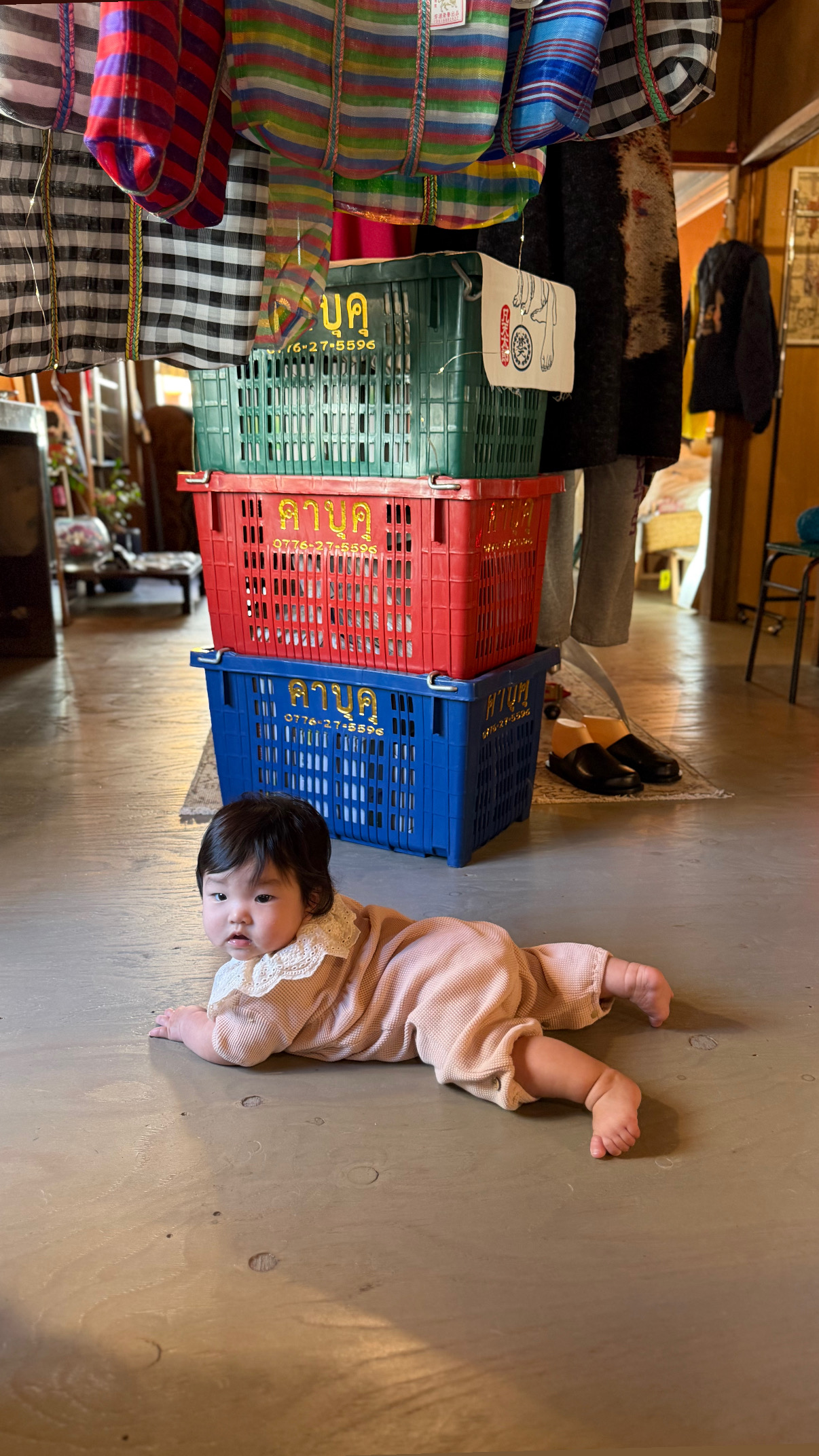 本日は定休日