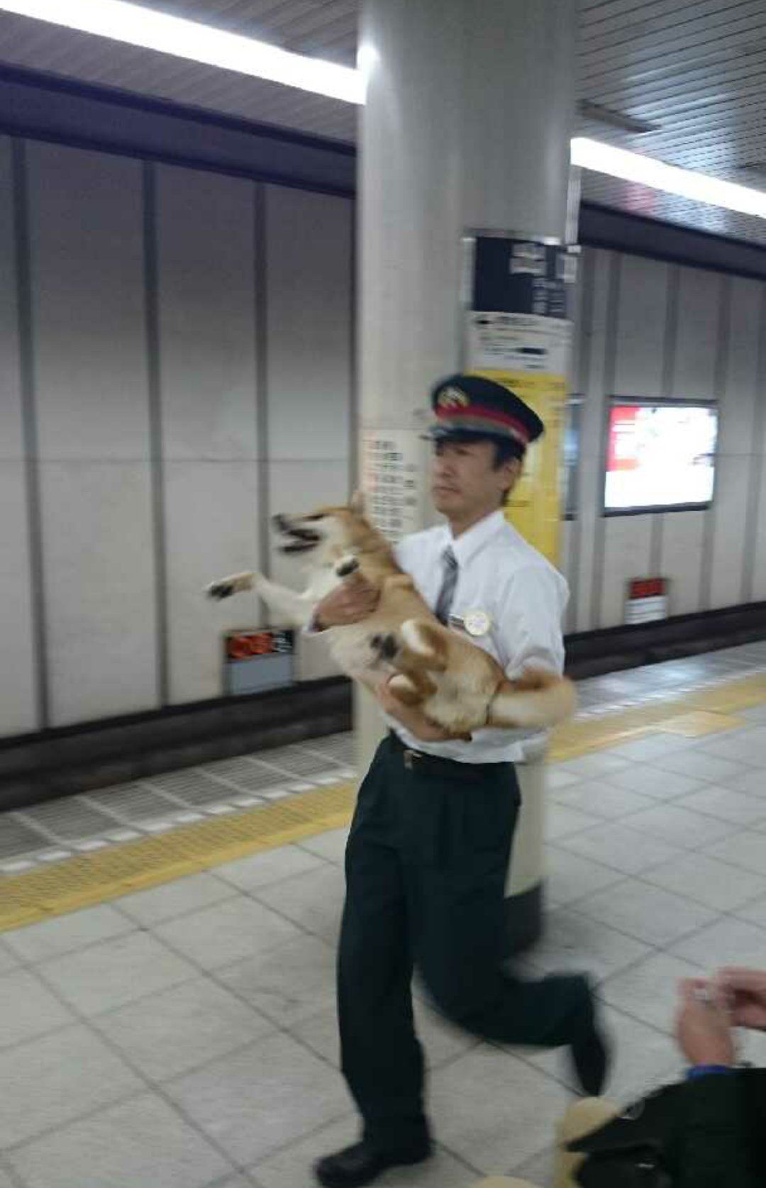 本日は定休日