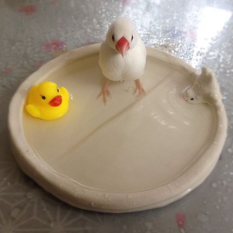 本日は定休日