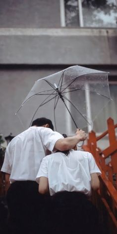本日は定休日