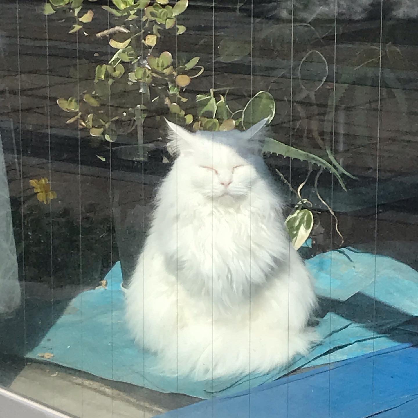 余談ですが