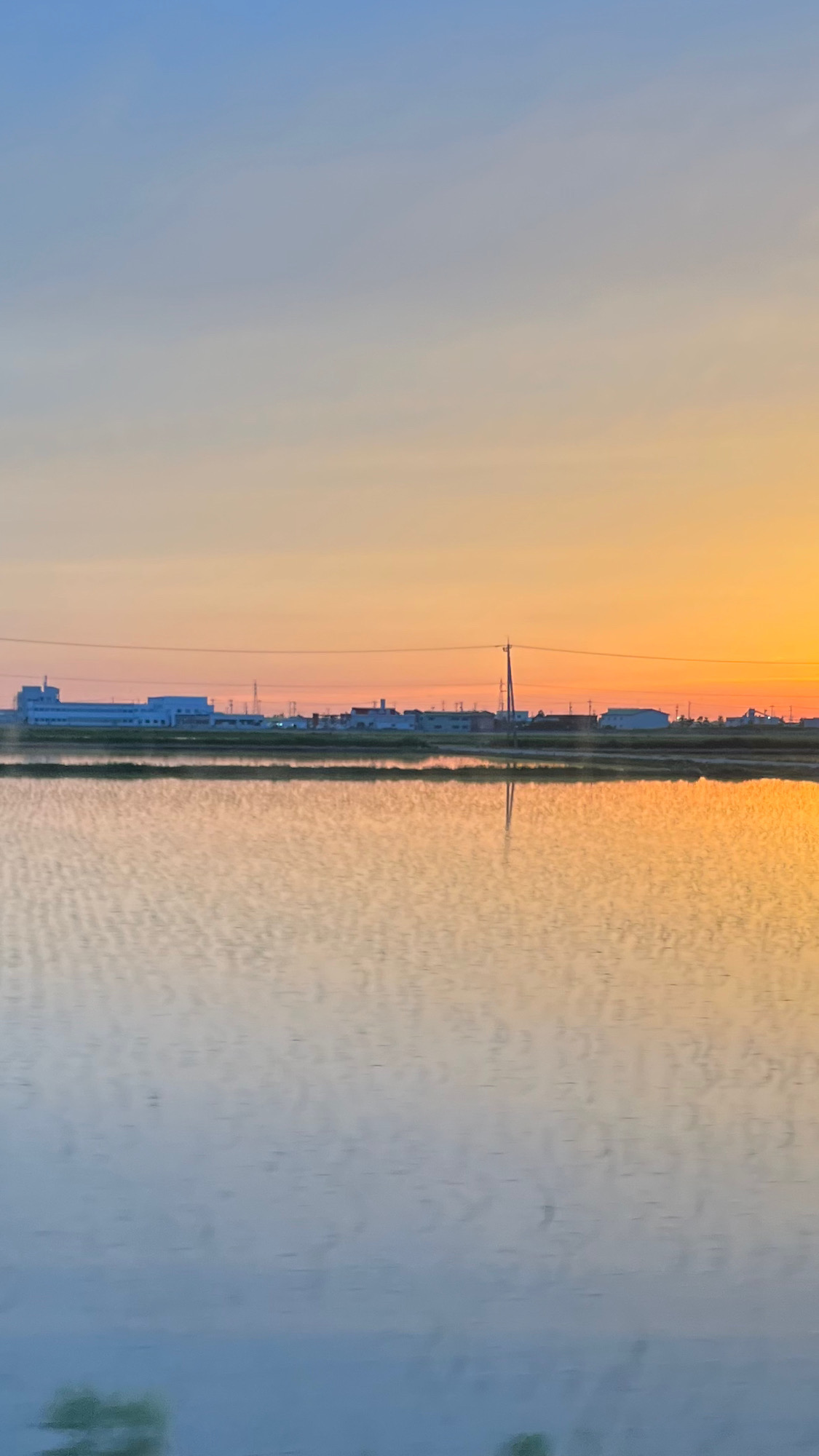 夕焼け