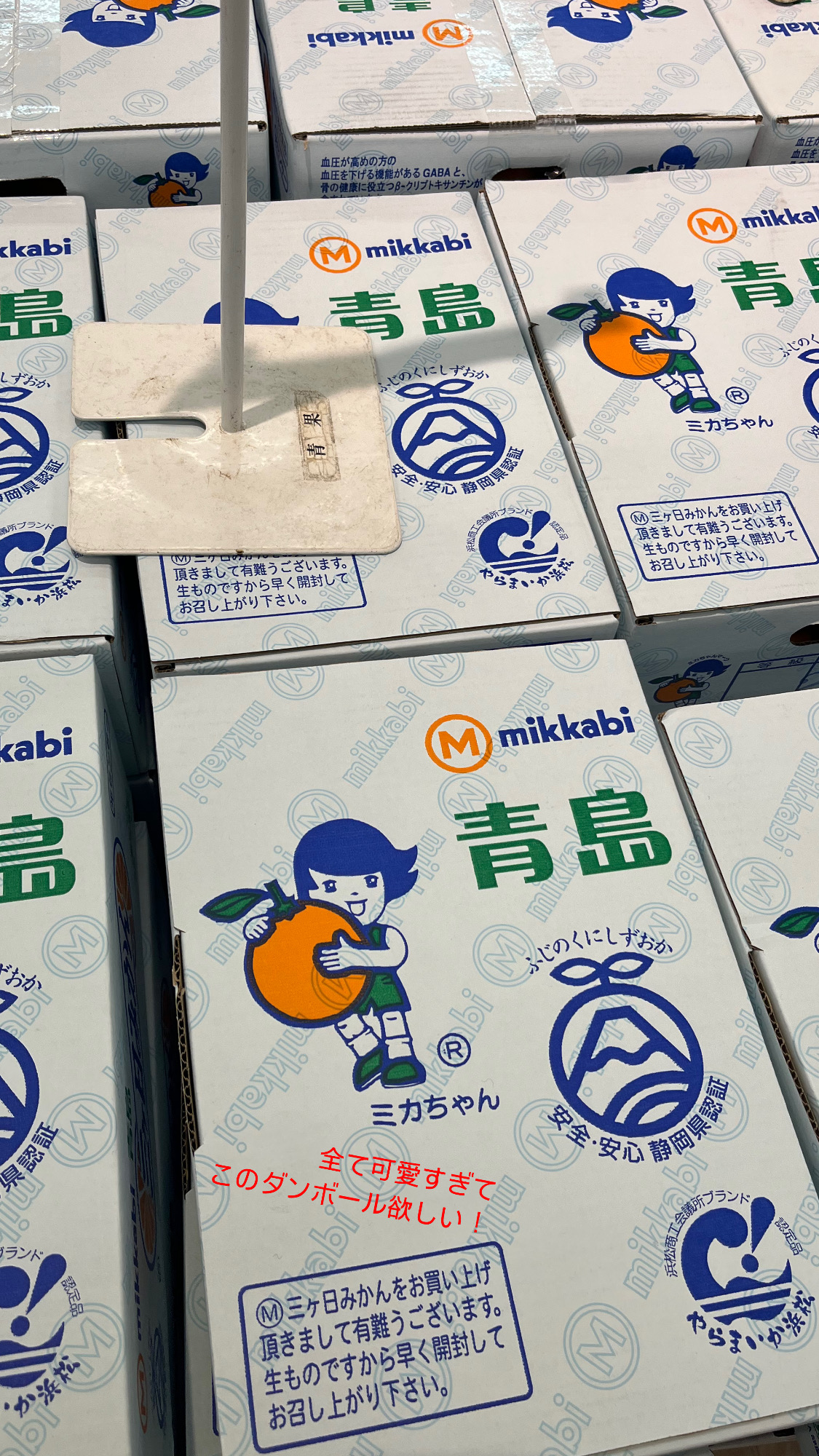 つぶやき