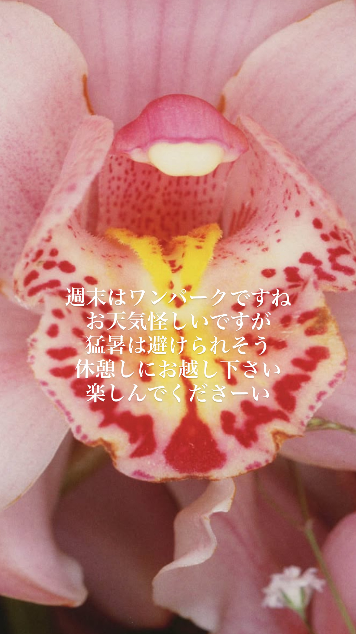 お立ち寄りください！