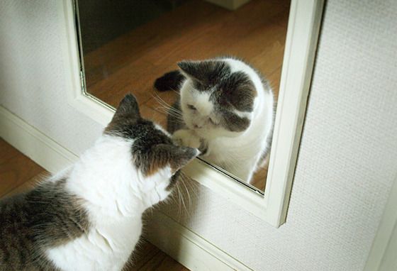 本日は定休日