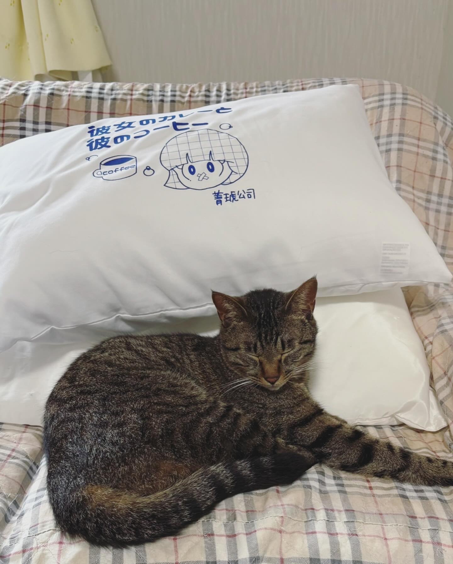 ありがとう