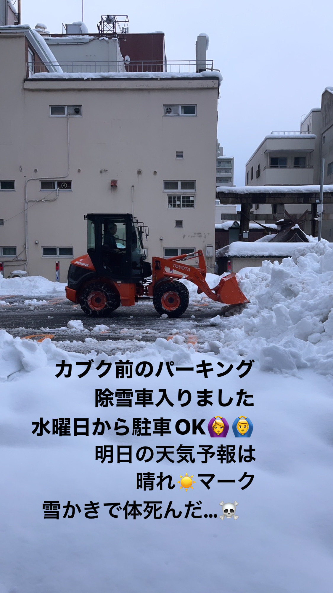 パーキング復活!