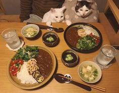 本日は定休日