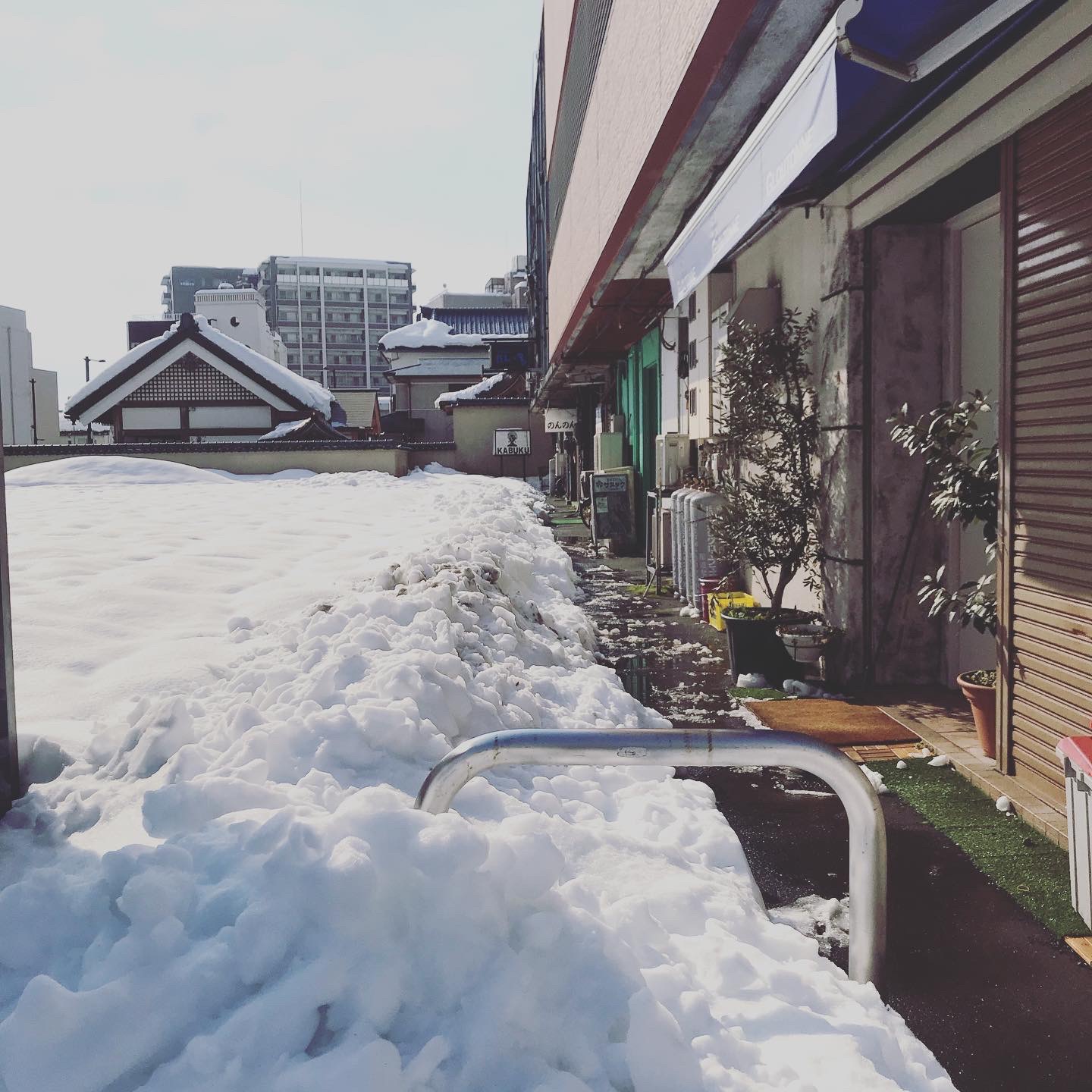 本日も休業します