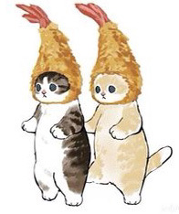 本日は定休日