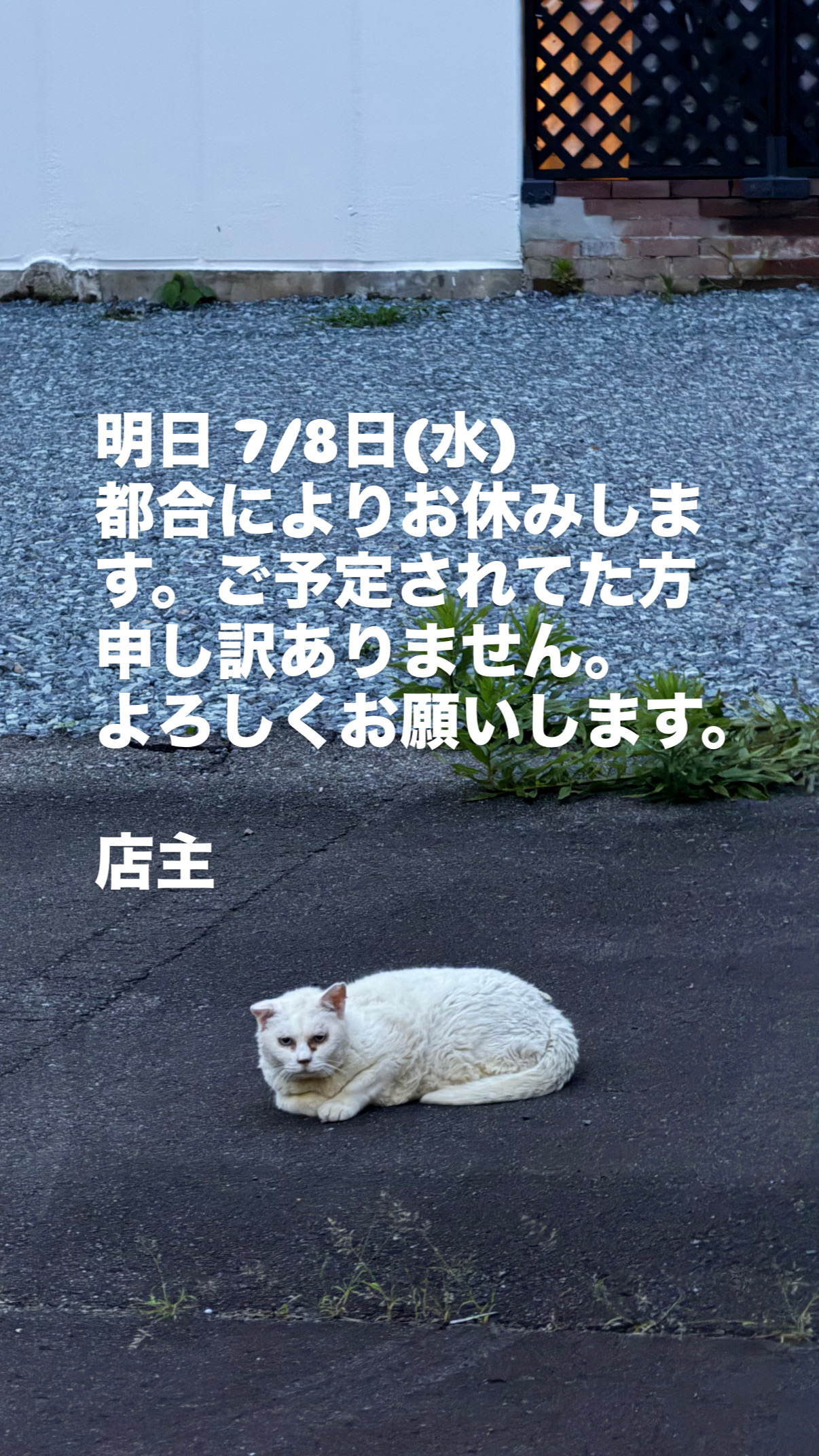 明日は臨時休業