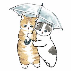 本日は定休日