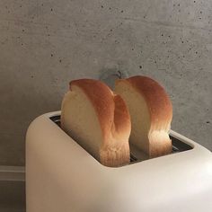 本日は定休日