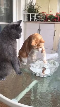 本日は定休日