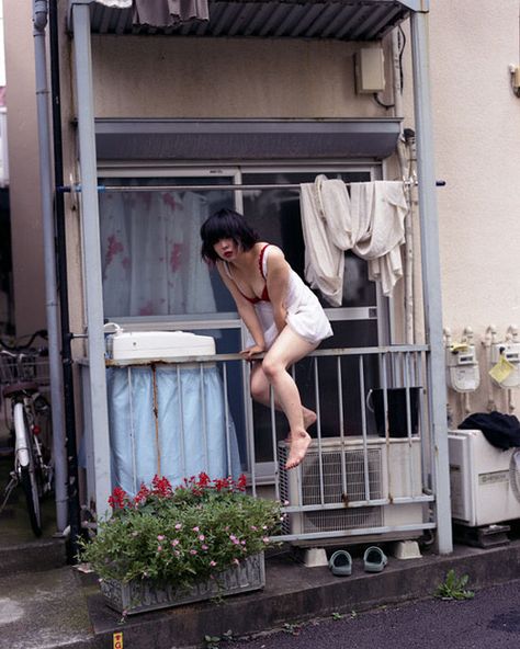 本日は定休日