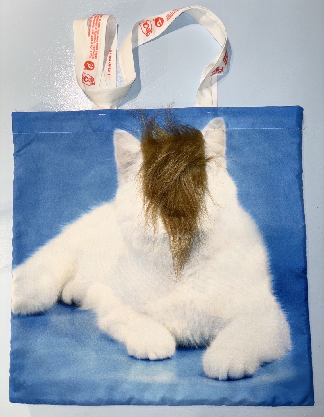 CAT BAG