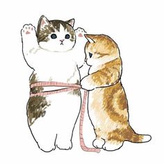 本日は定休日