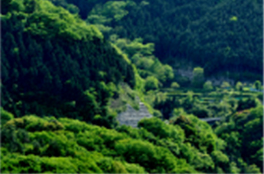 妥協を許さない品質