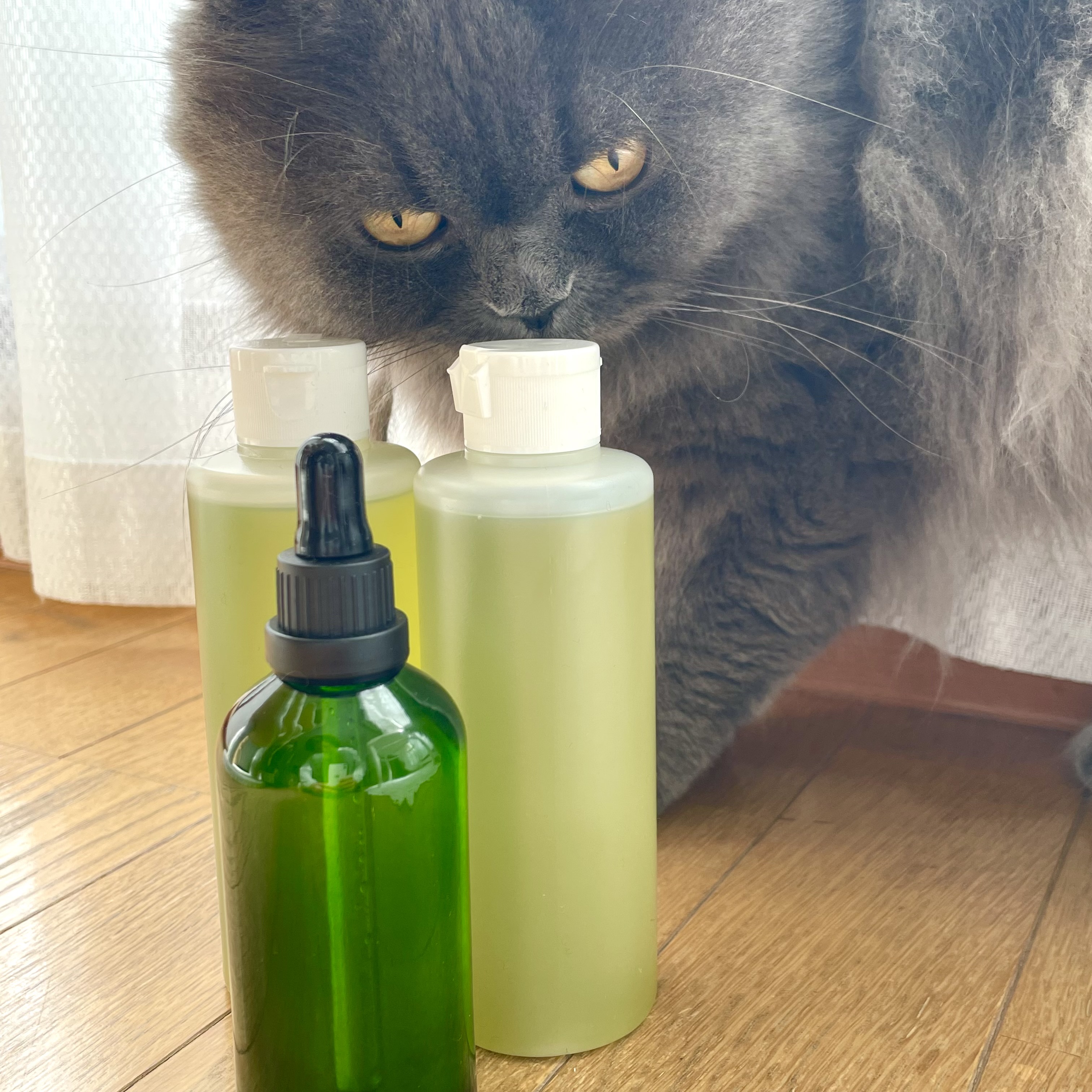 在庫少し出来ました！