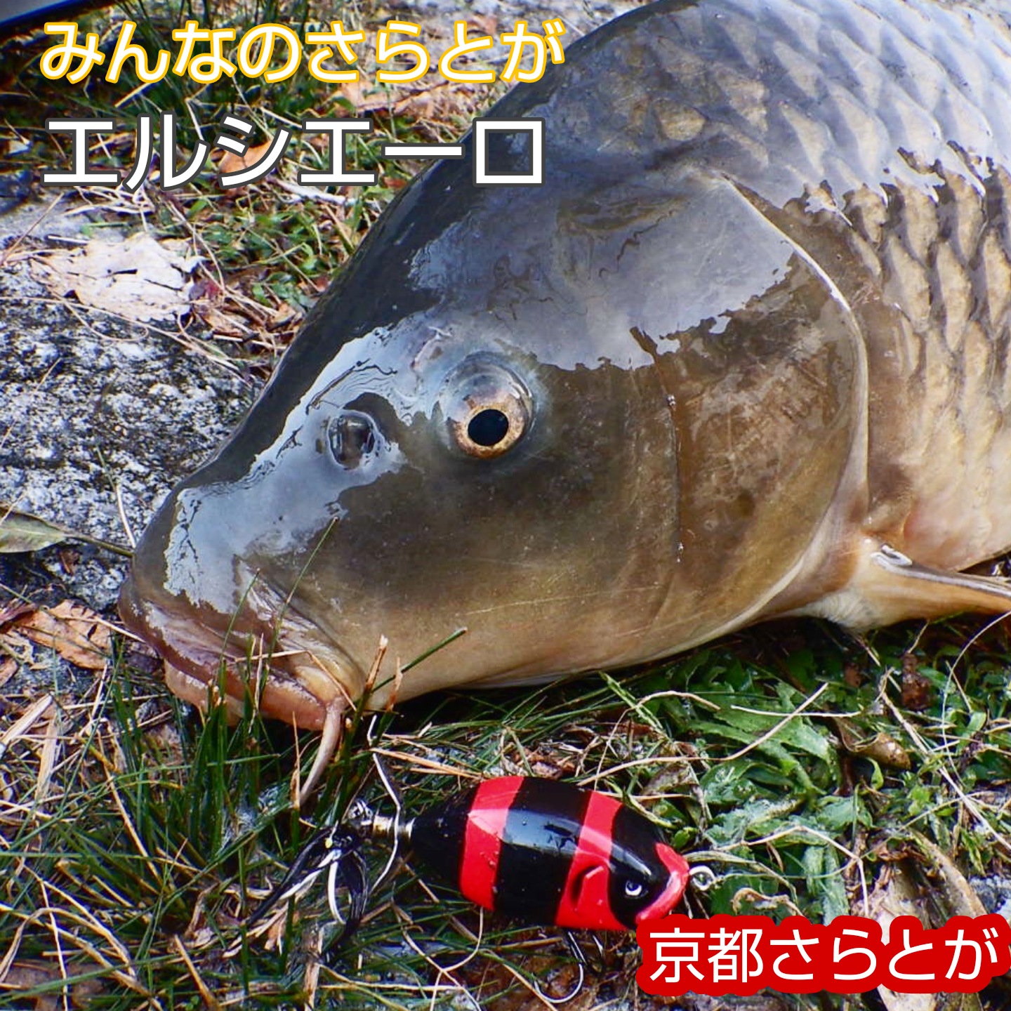 みんなのさらとが10月27日更新