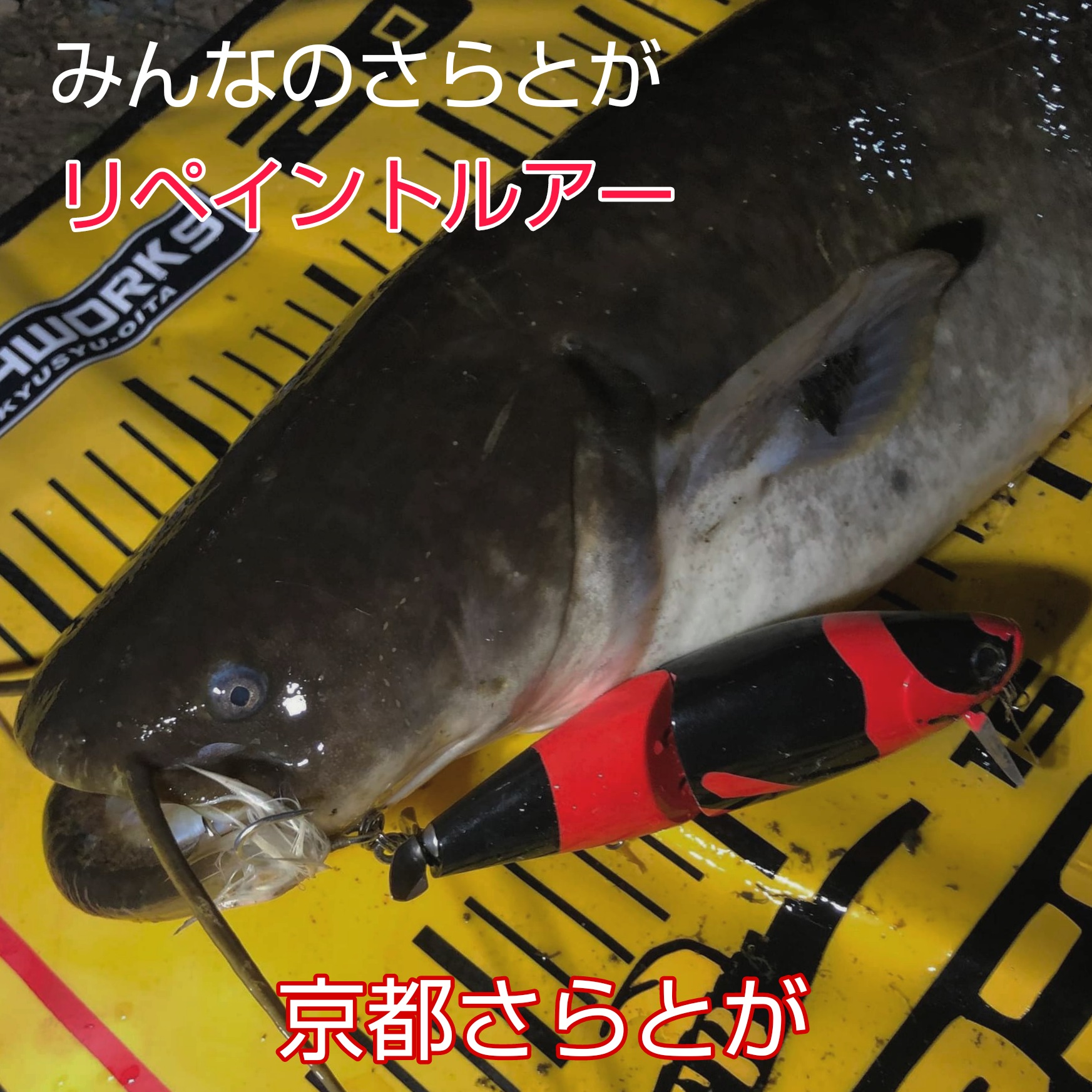 みんなのさらとが3月14日更新