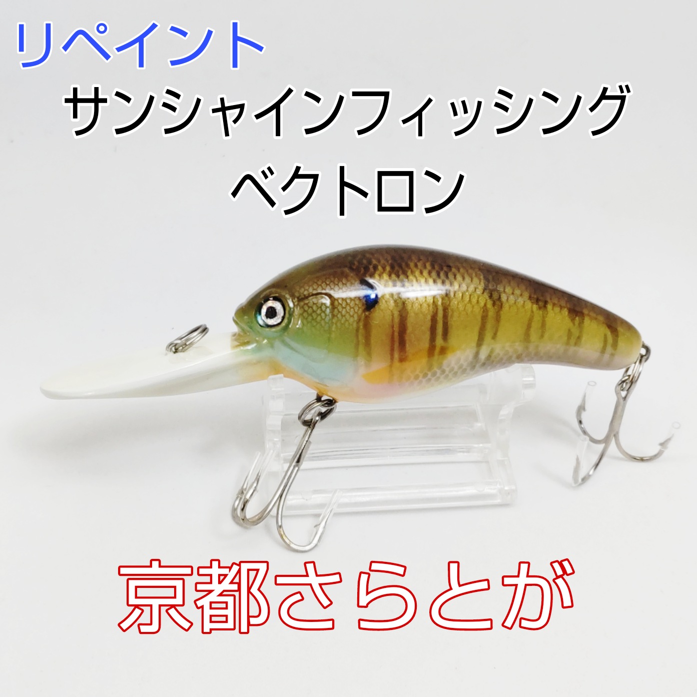 さらとが通信 5月8日更新