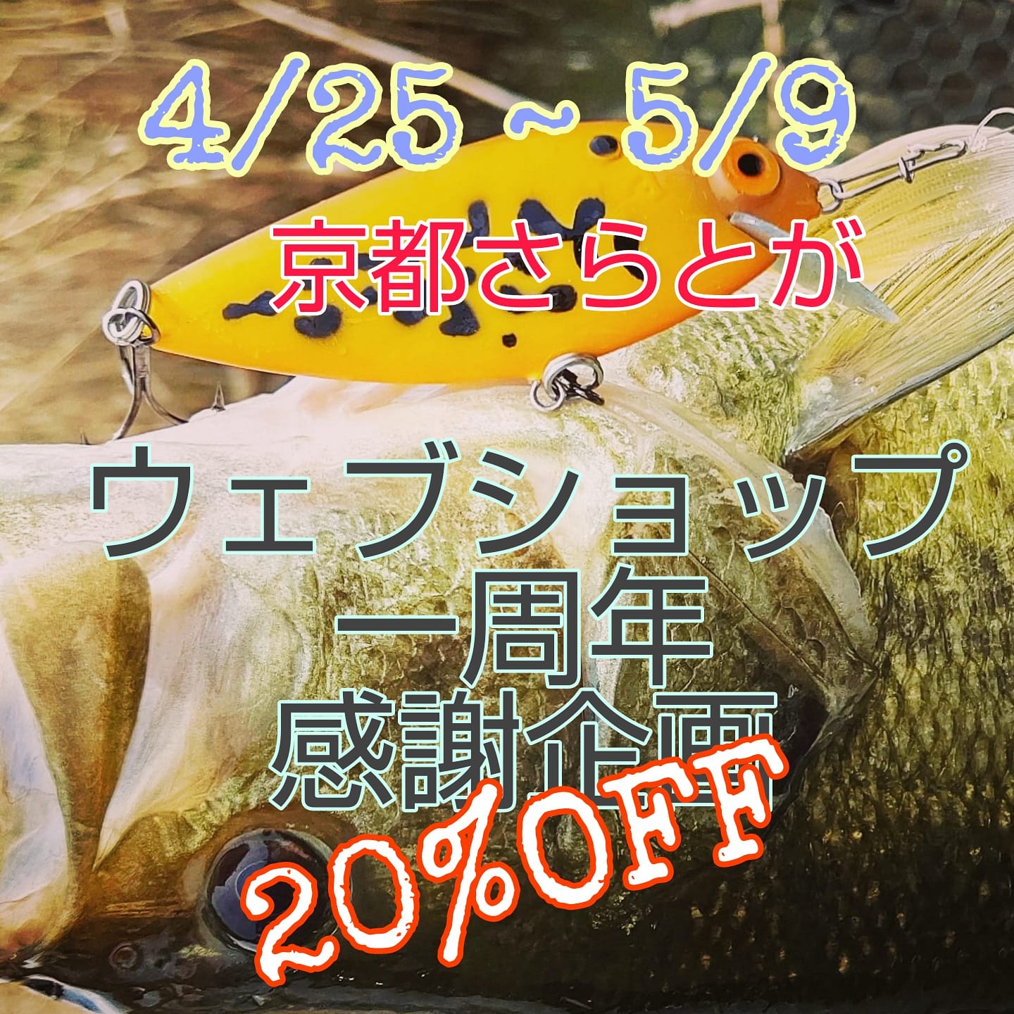 京都さらとがウェブショップ1周年感謝御礼企画