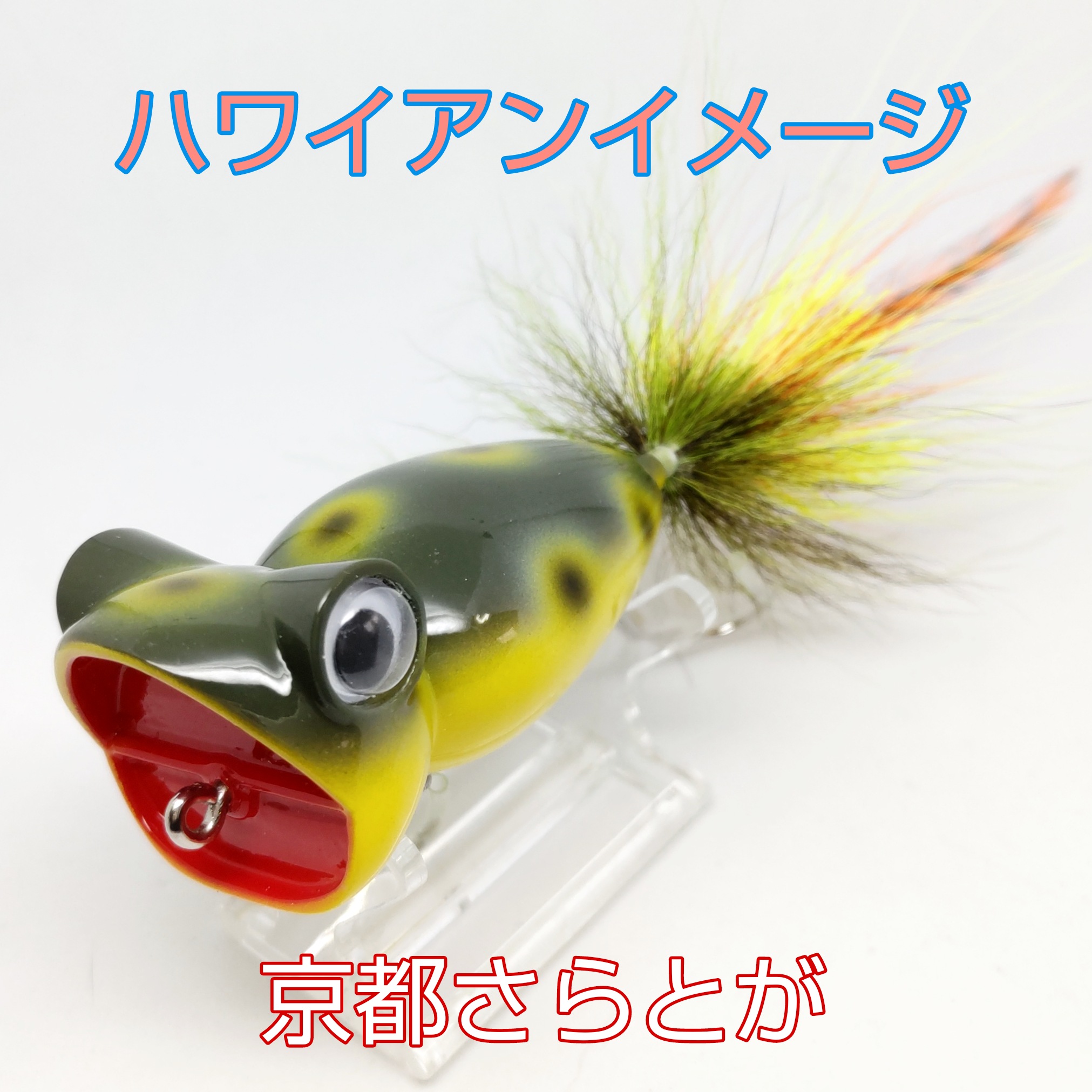 さらとが通信6月27日更新