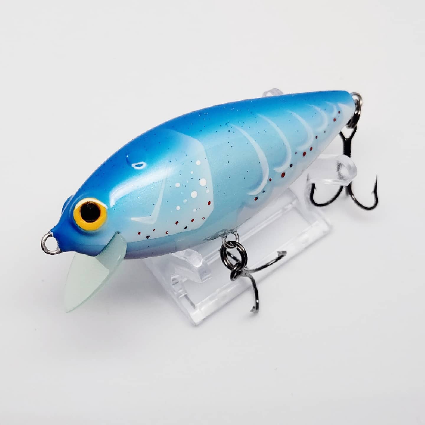 さらとが通信5月10日更新