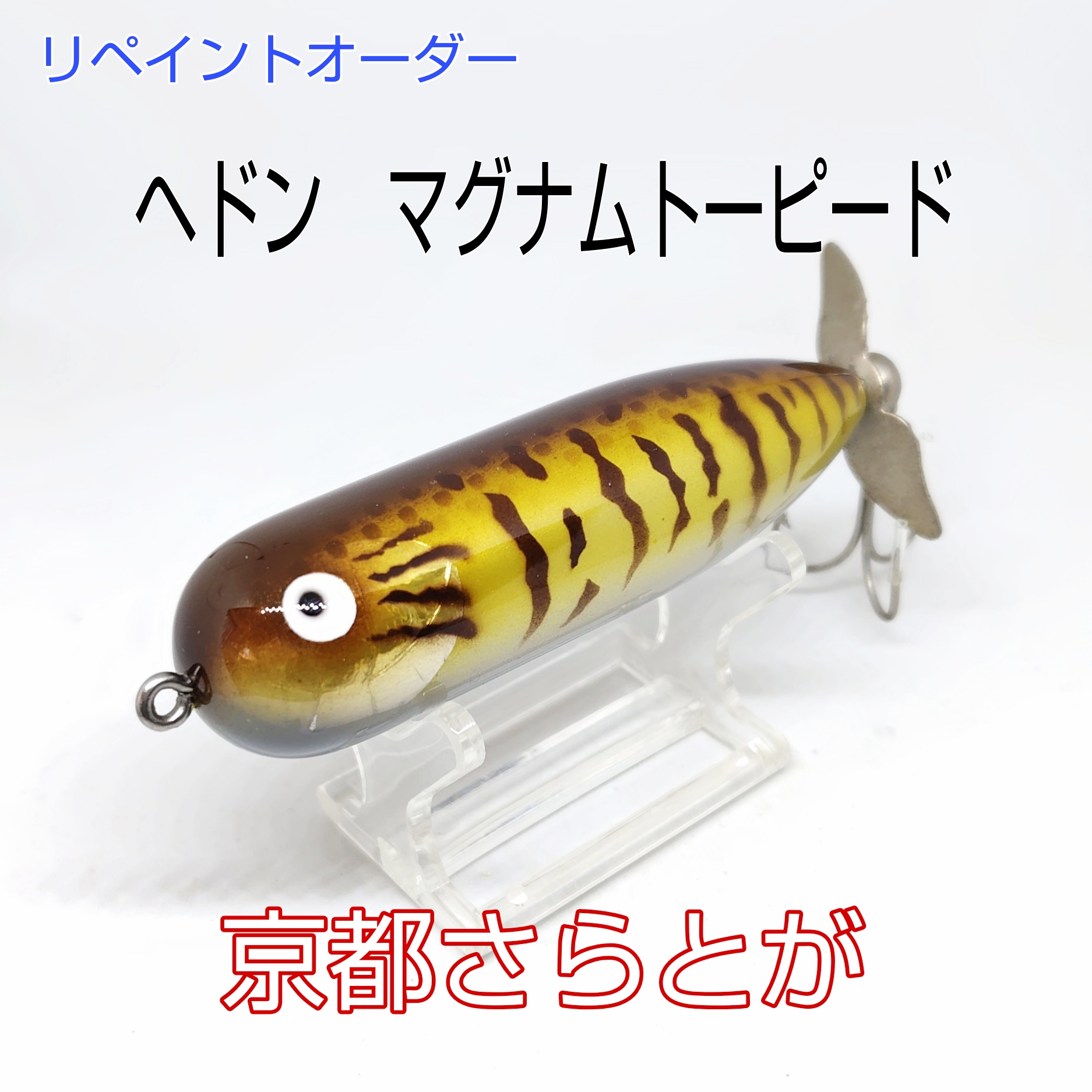 さらとが通信　2月20日更新