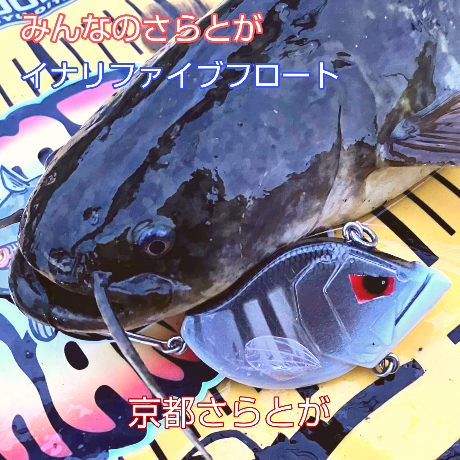 みんなのさらとが4月26日更新