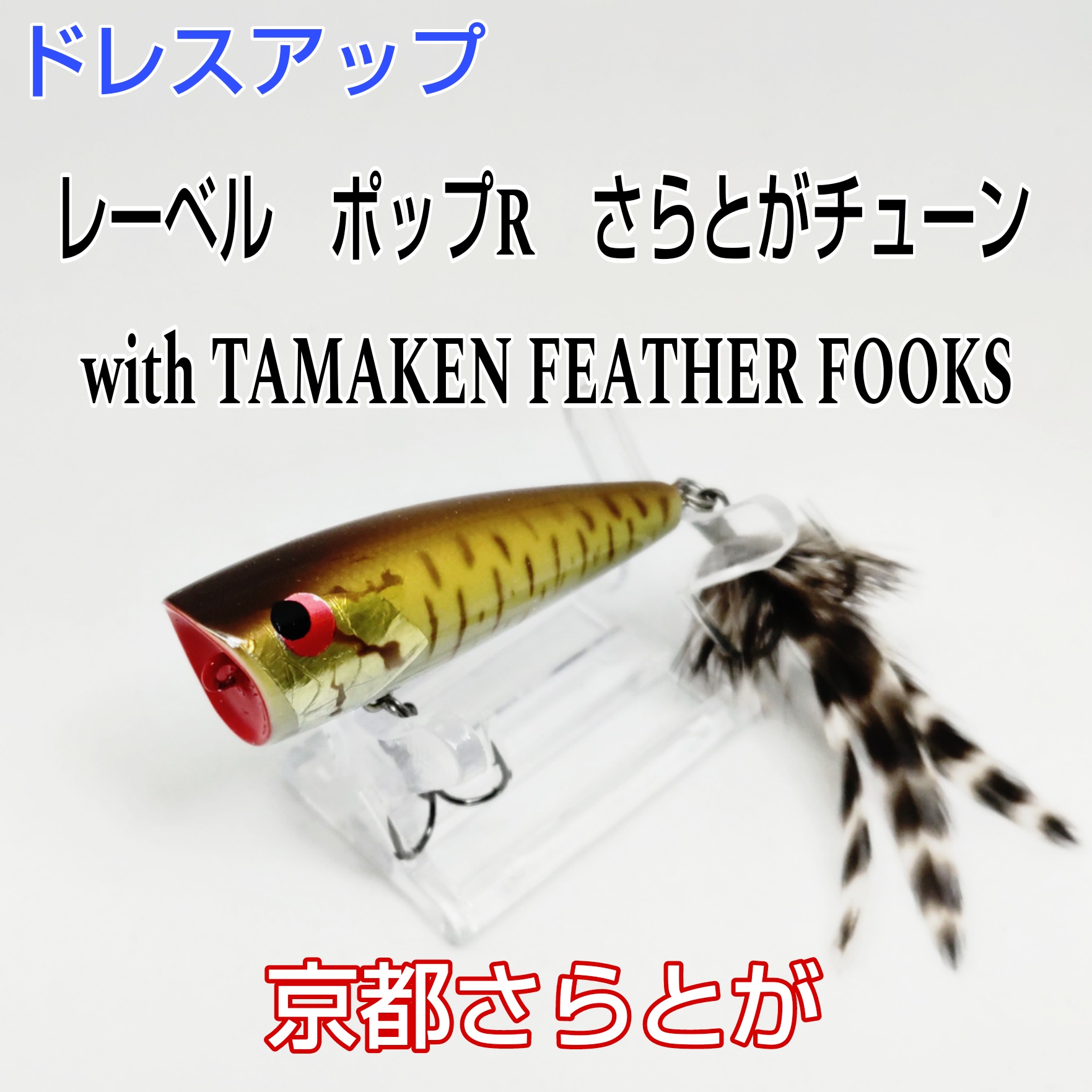 さらとが通信 11月12日更新