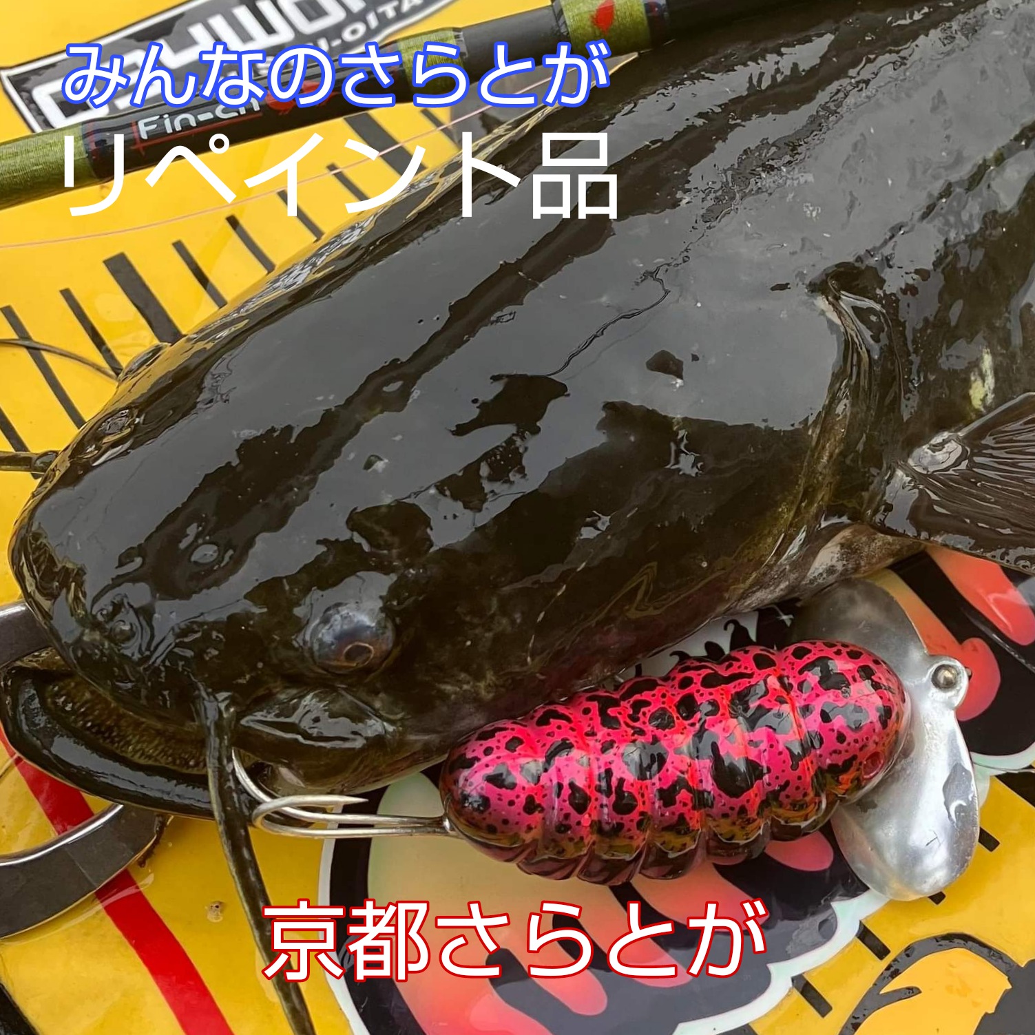 みんなのさらとが6月11日更新