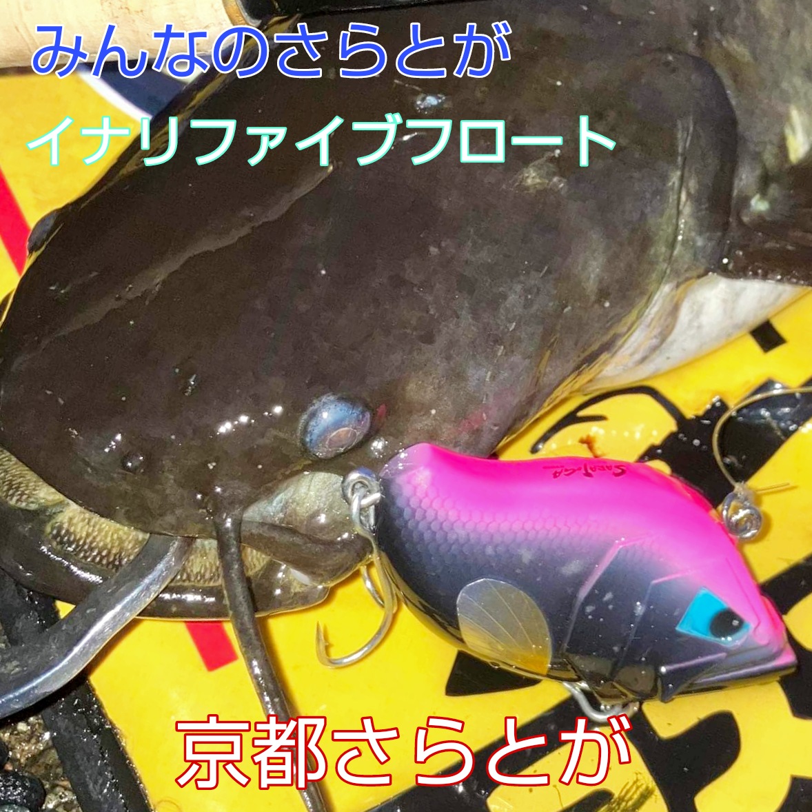 みんなのさらとが8月12日更新