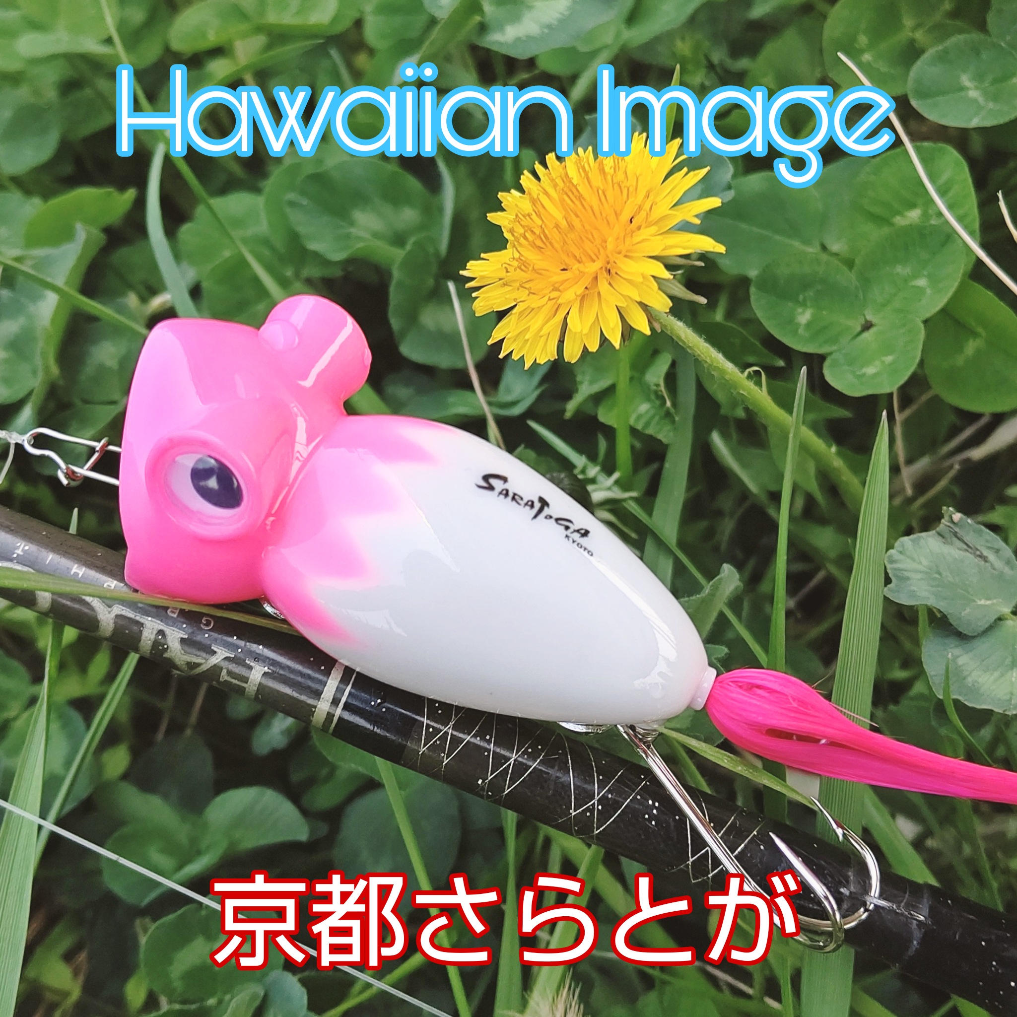 さらとが通信4月6日更新