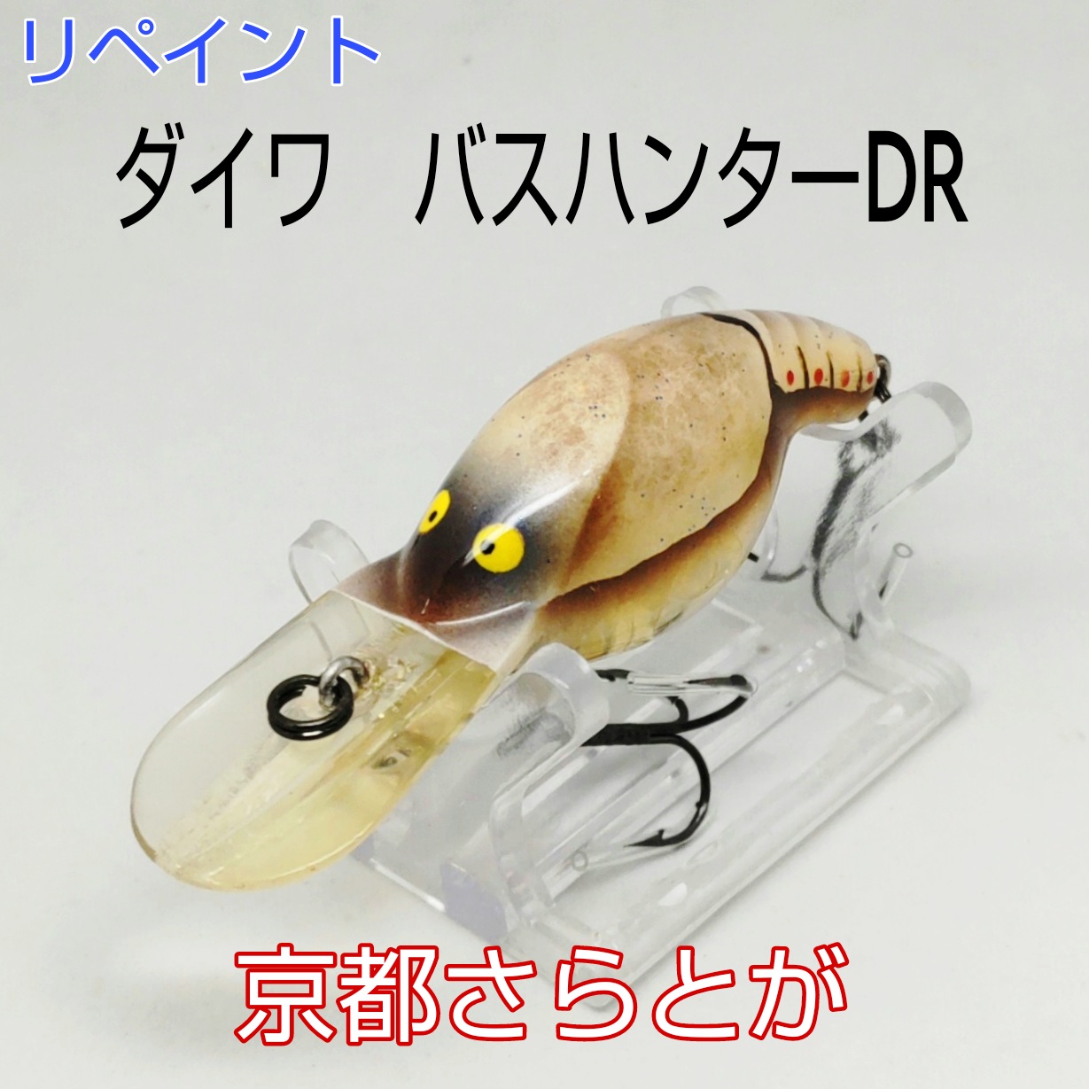 さらとが通信　4月2日更新