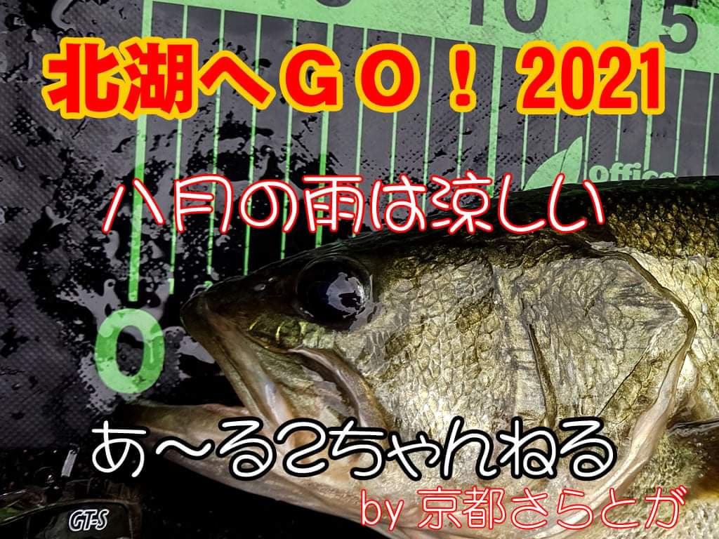 さらとが通信8月13日更新