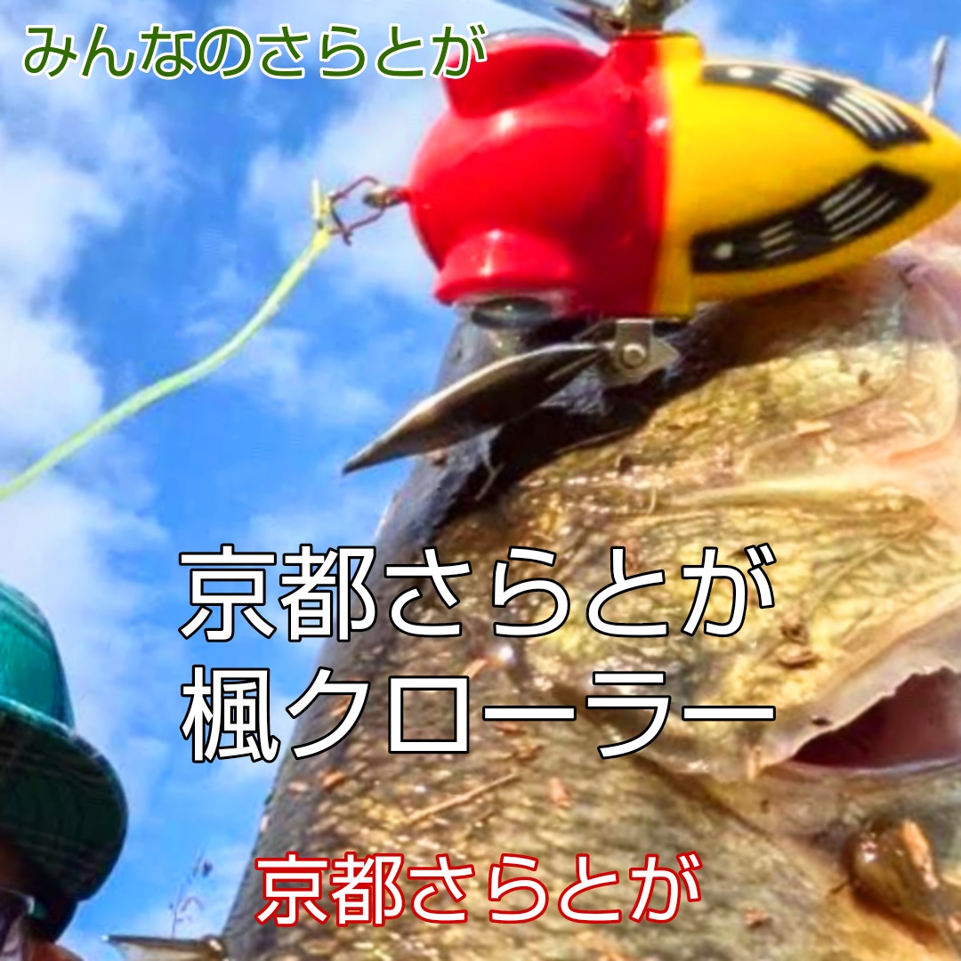 みんなのさらとが　11月30日更新