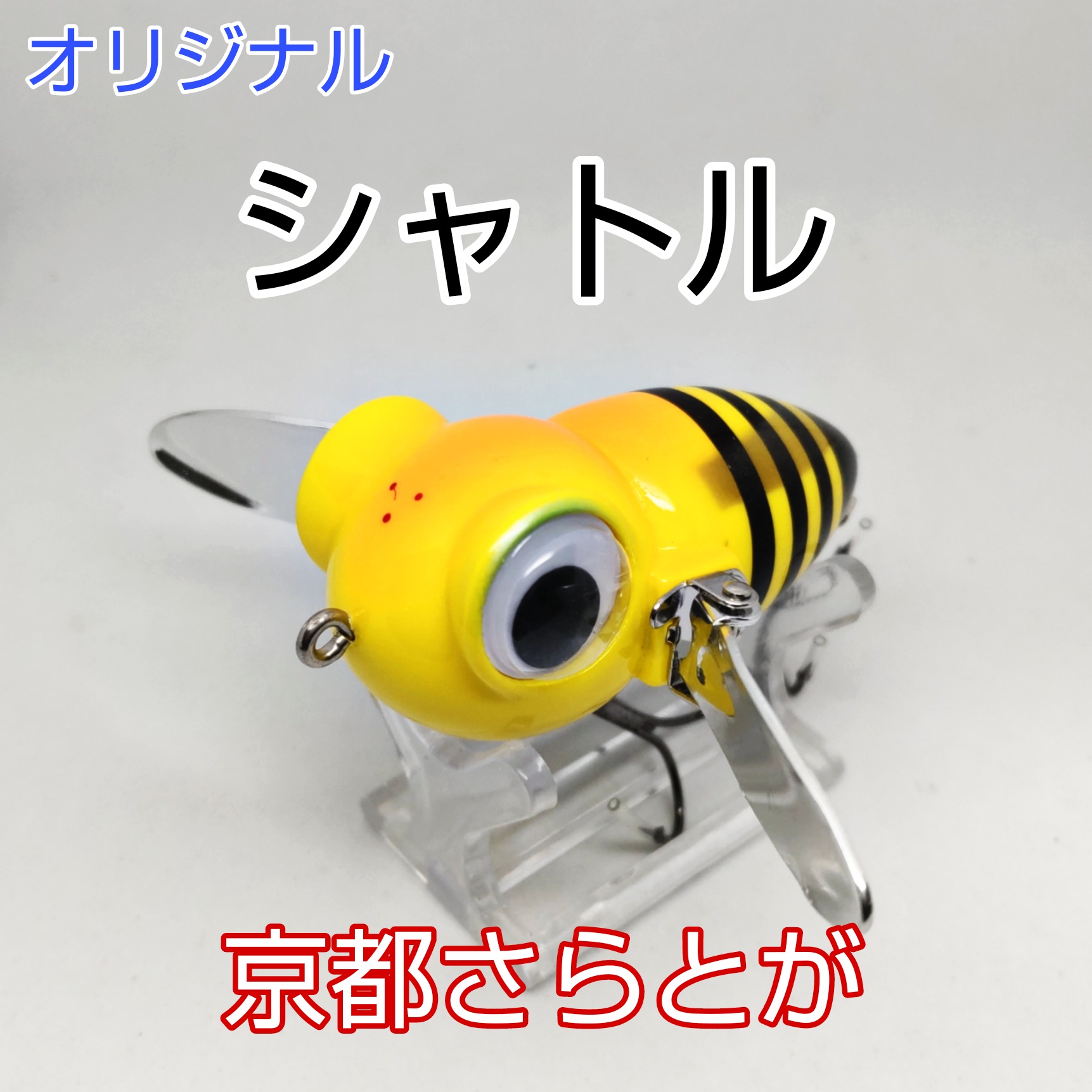 さらとが通信 10月22日更新