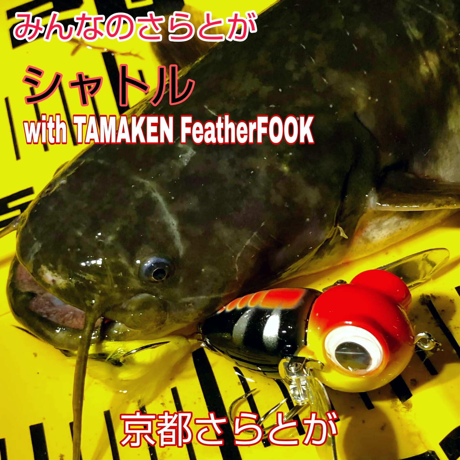 みんなのさらとが3月30日更新