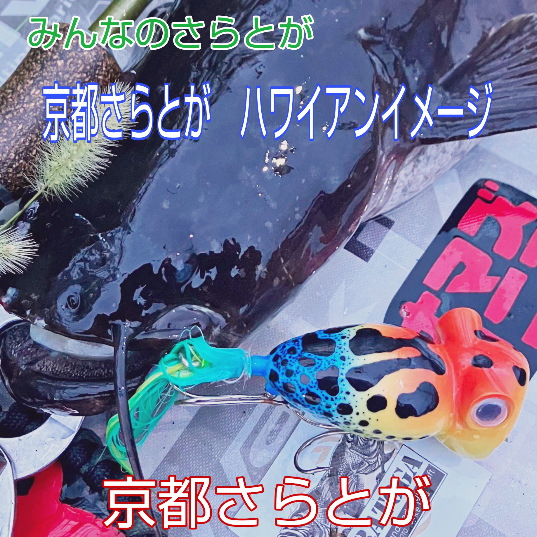 みんなのさらとが9月22日更新