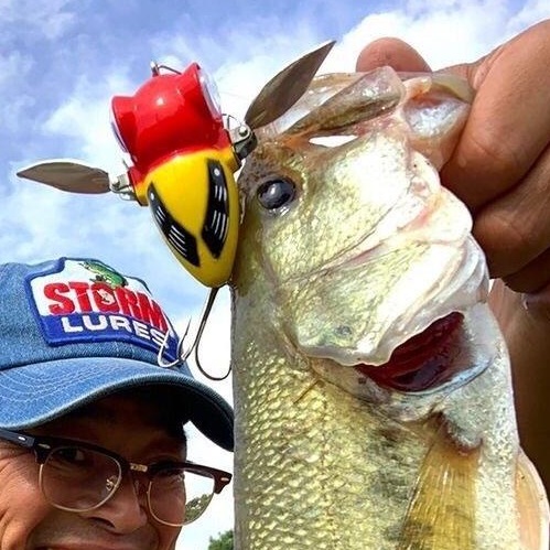 さらとが通信5月25日更新