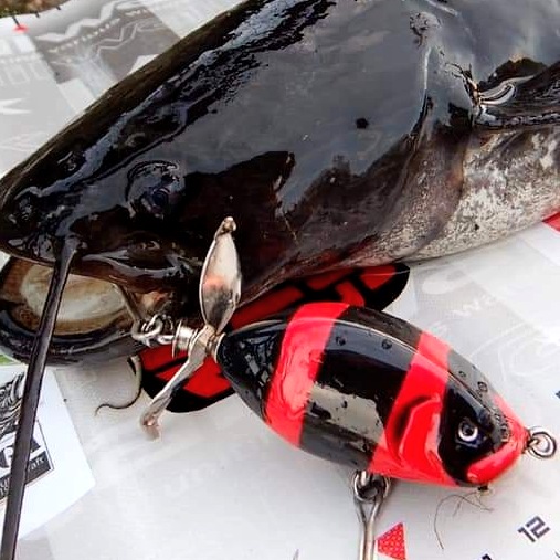 さらとが通信(みんなのさらとが)7月26日更新